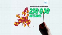 Лесные пожары: Европа готовится к антирекорду. Там выгорела площадь, равная Люксембургу