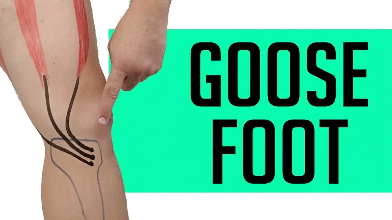 How to Relieve Inner Knee Pain – Pes Anserine Tips That Really Work