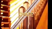 670mm 380v 2500w Quartz Heater Tube Infrared Heating Lamp Halogen Heating Lamp for Blowing Machines
