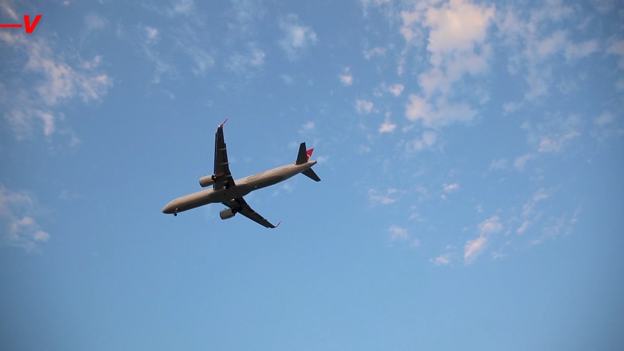 Save Time and Money When Your Flight Is Canceled or Delayed: Practical Tips