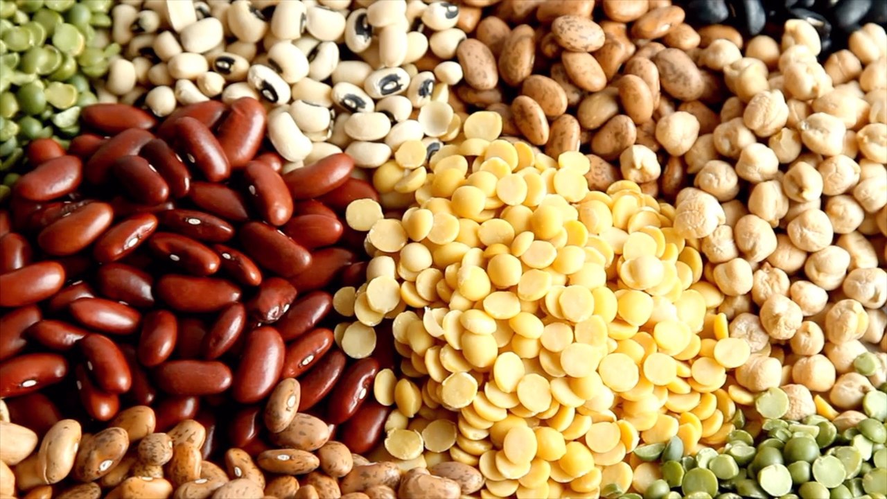 Benefits of Adding Beans to Your Diet