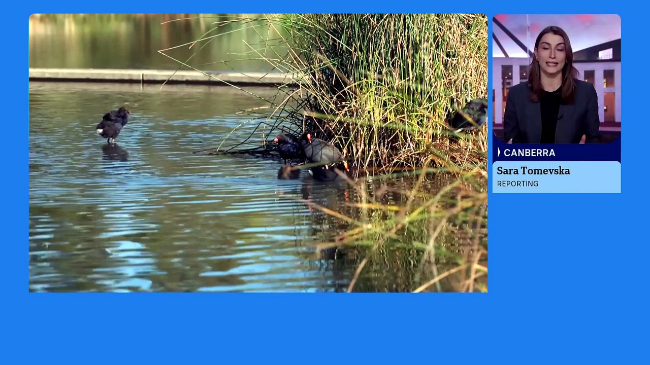 Federal authorities confirm local transmission among birds in South Australia