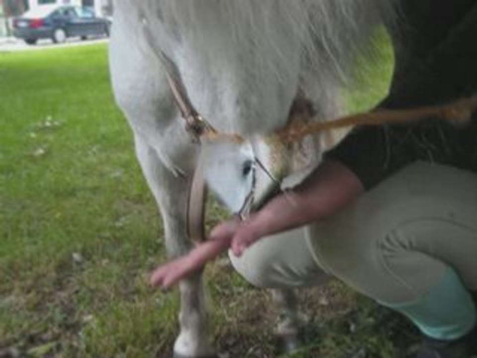 Popey