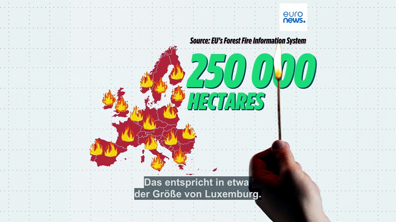 Fläche von Luxemburg verbrannt: So schlimm sind die Waldbrände 2026