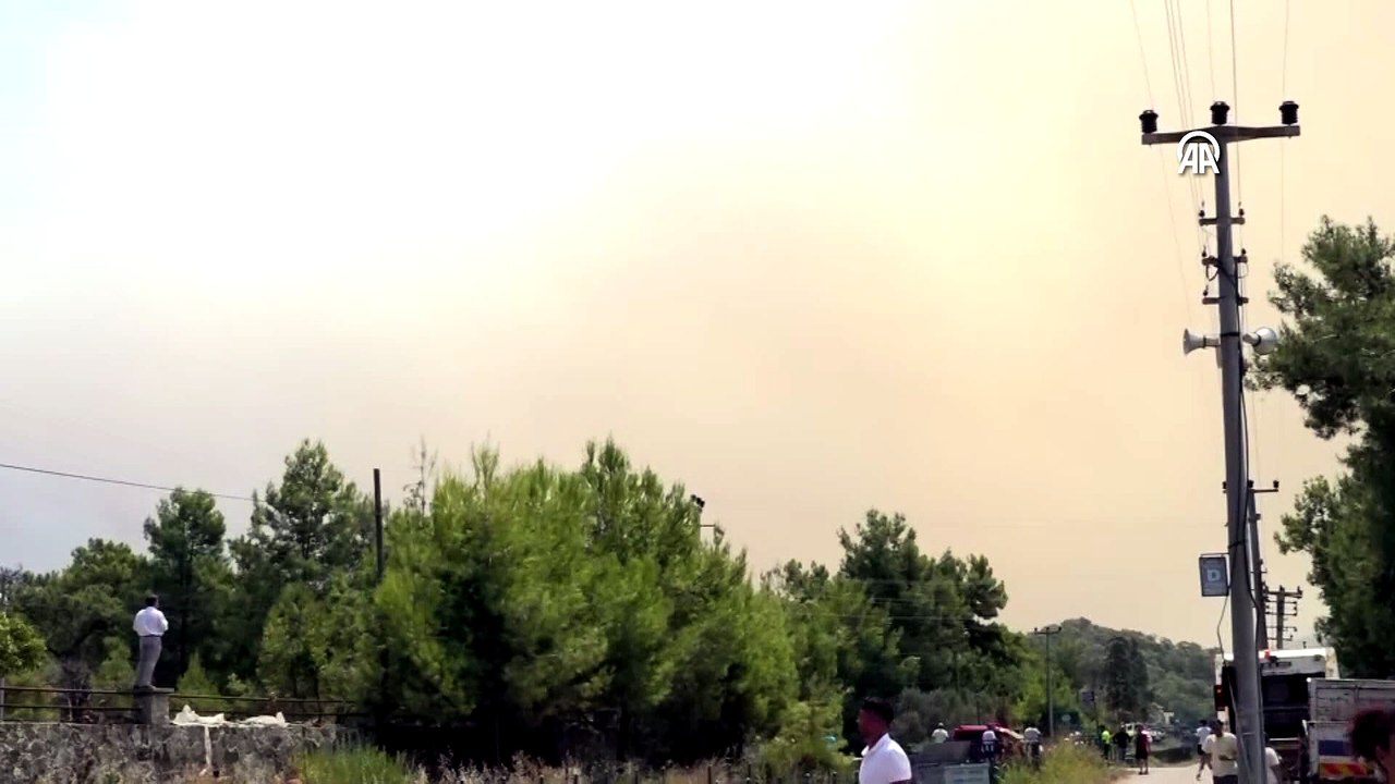 Muğla'nın Fethiye ilçesinde orman yangını çıktı