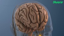 Santé/c'est quoi la sérotonine?