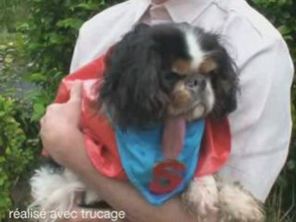 Super Chien