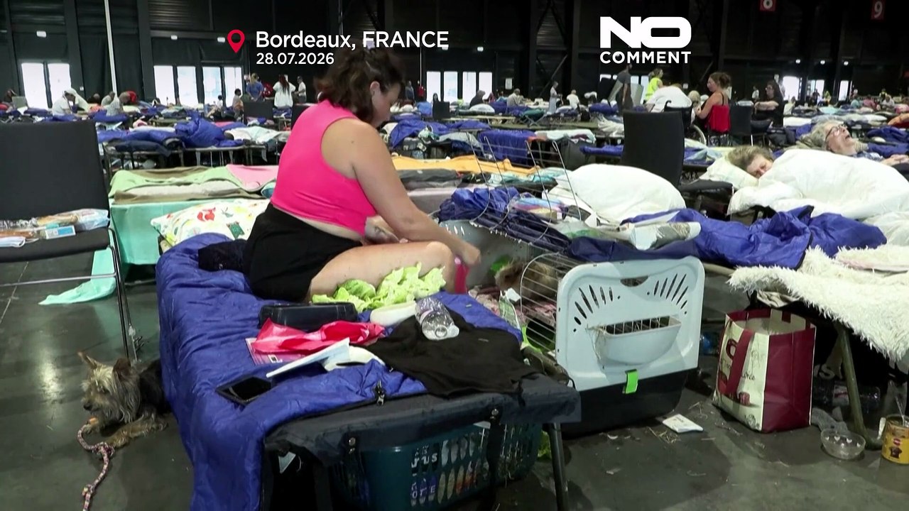 Equipo veterinario en Francia atiende las mascotas de evacuados por incendios