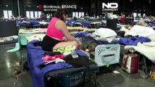 França: equipa veterinária trata animais de desalojados pelos incêndios