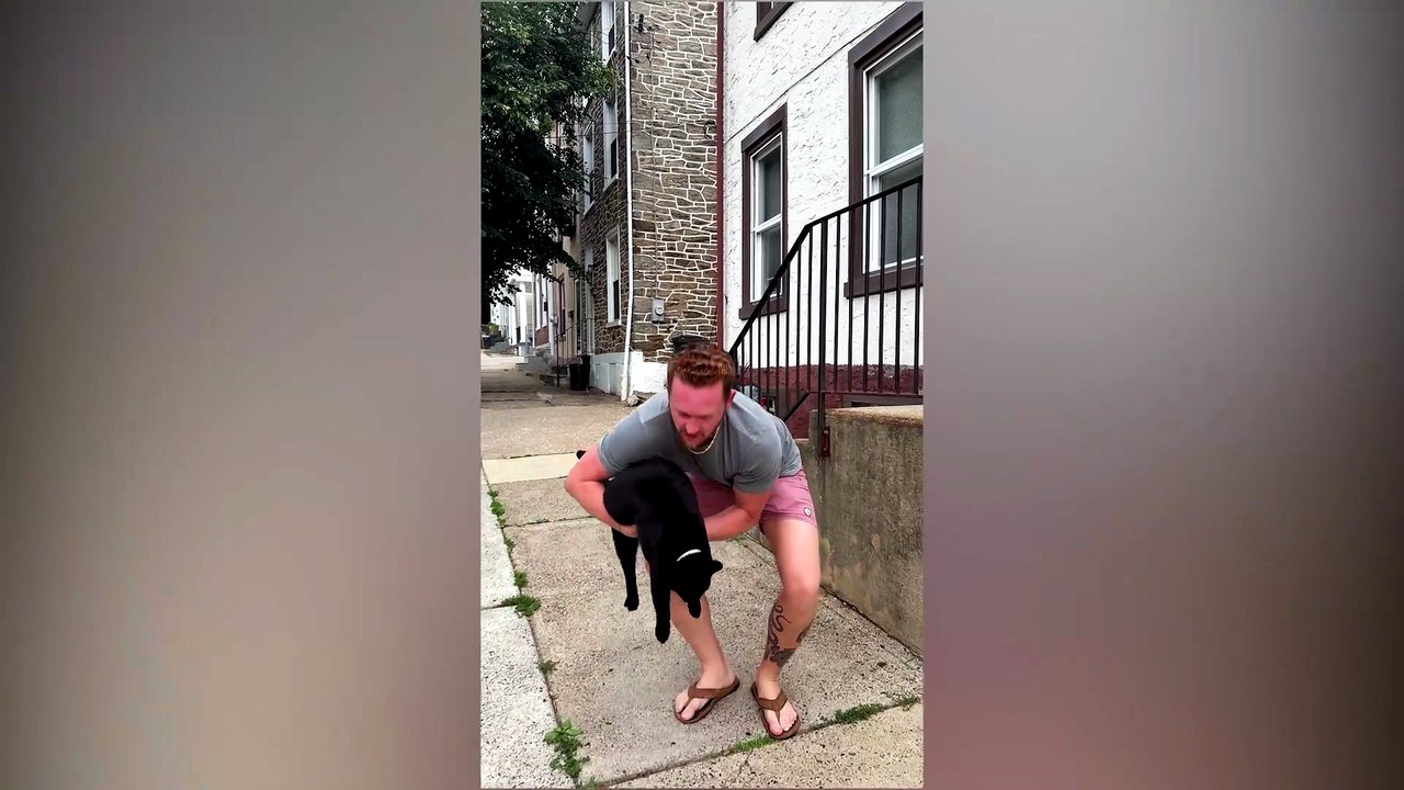 Neighborhood Cat Earns Title as "mayor" of Philadelphia Street