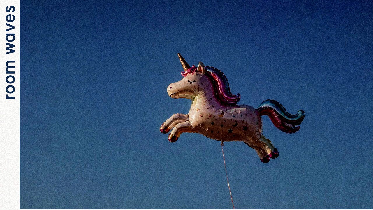 chasing unicorns