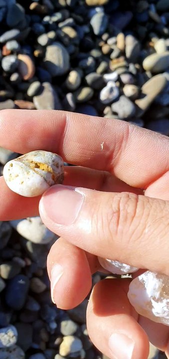 Agate 11