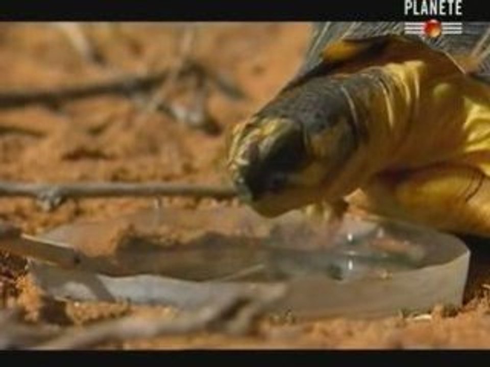 2/3 - Madagascar, des millions pour la deforestation