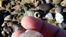 Agate 8