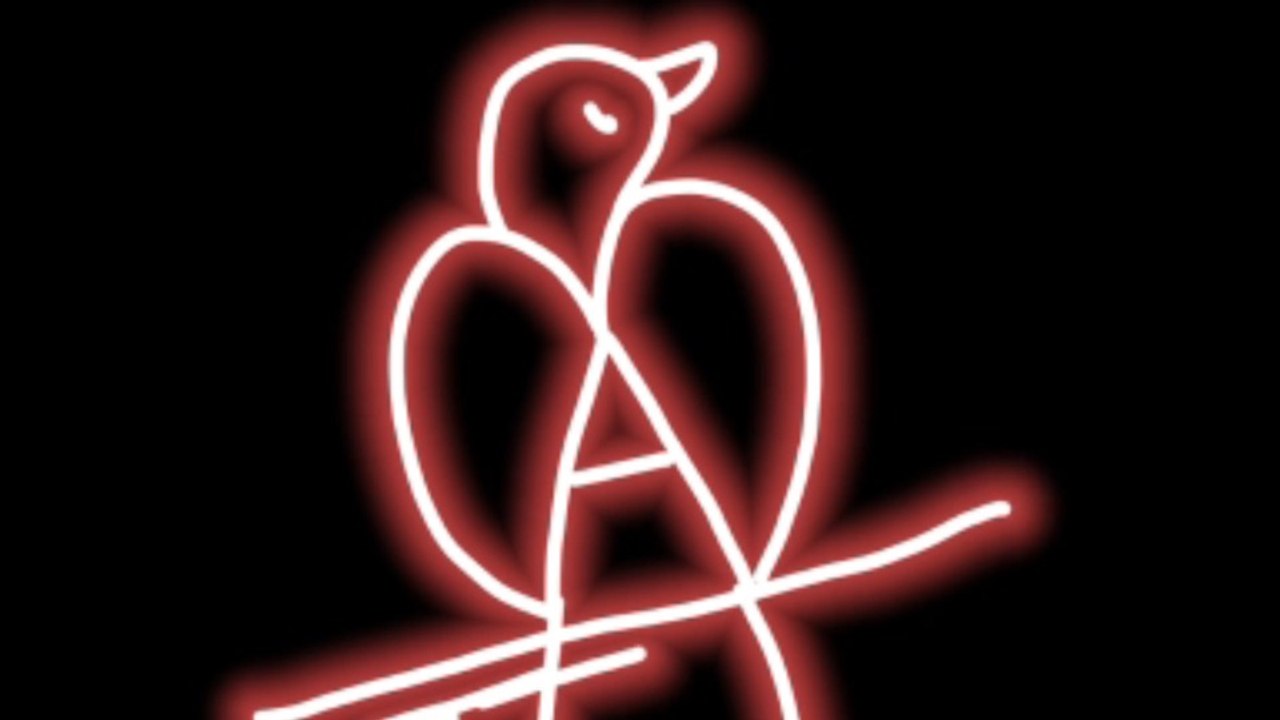 How to draw this bird