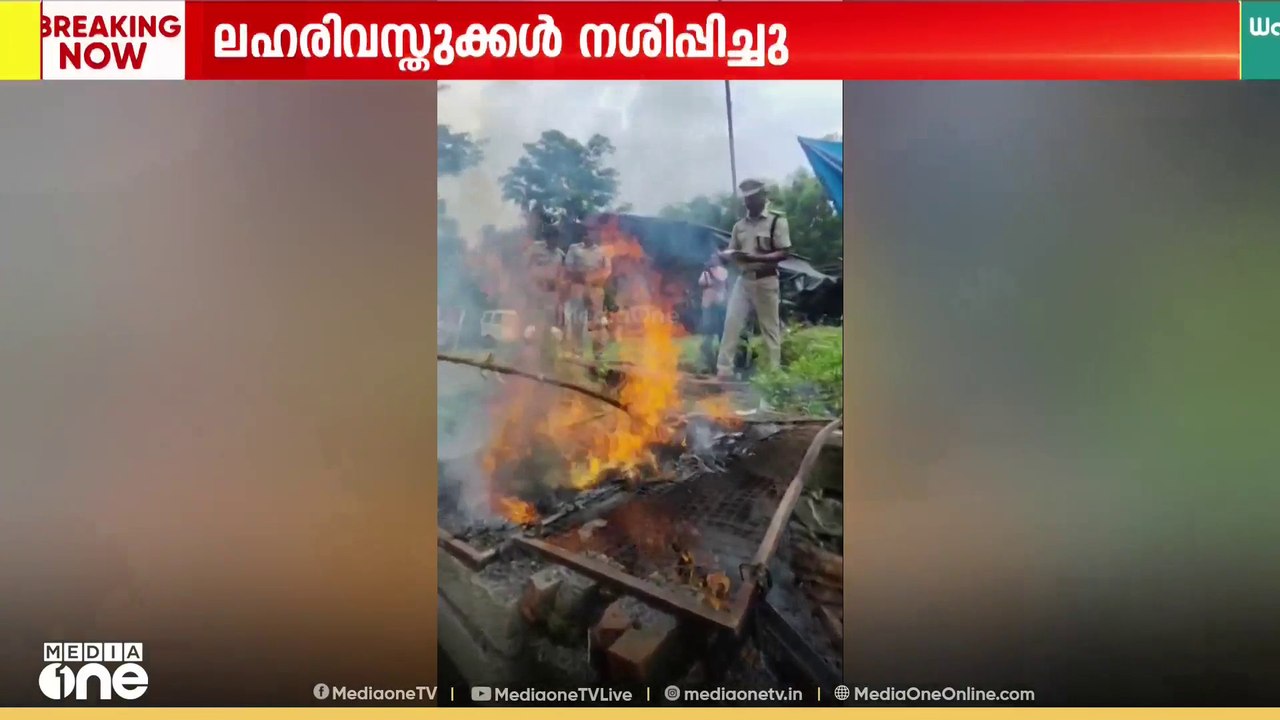 കൂട്ടിയിട്ട് കത്തിച്ചു; കോഴിക്കോട് റൂറൽ ജില്ലയിൽ പിടിച്ചെടുത്ത MDMAയും കഞ്ചാവും പൊലീസ് നശിപ്പിച്ചു