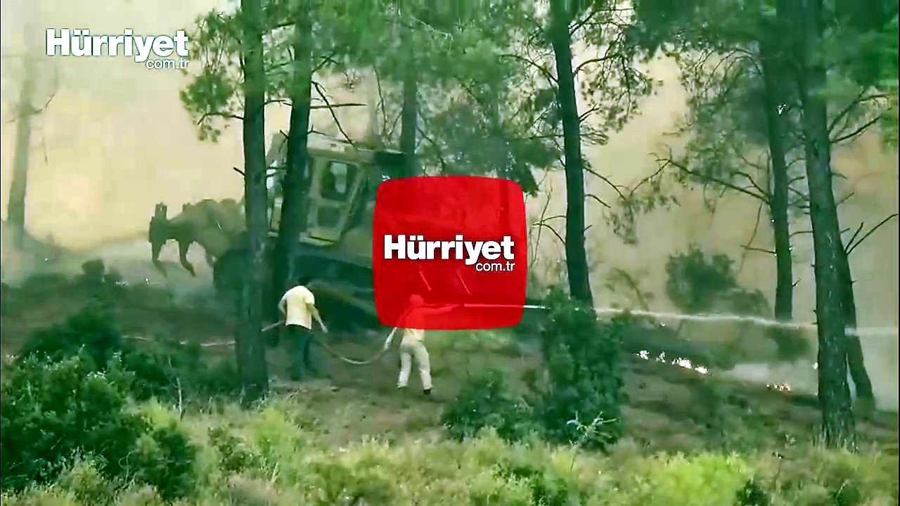 Orman yangınlarına havadan ve karadan müdahale!