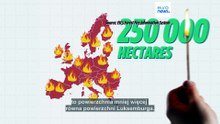 Pożary w Europie: to może być najgorszy rok w historii. Spłonął już obszar wielkości Luksemburga