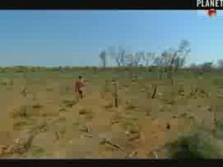 1/3 - Madagascar, des millions pour la déforestation