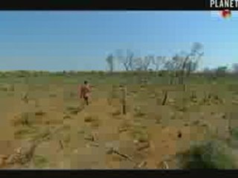 1/3 - Madagascar, des millions pour la déforestation