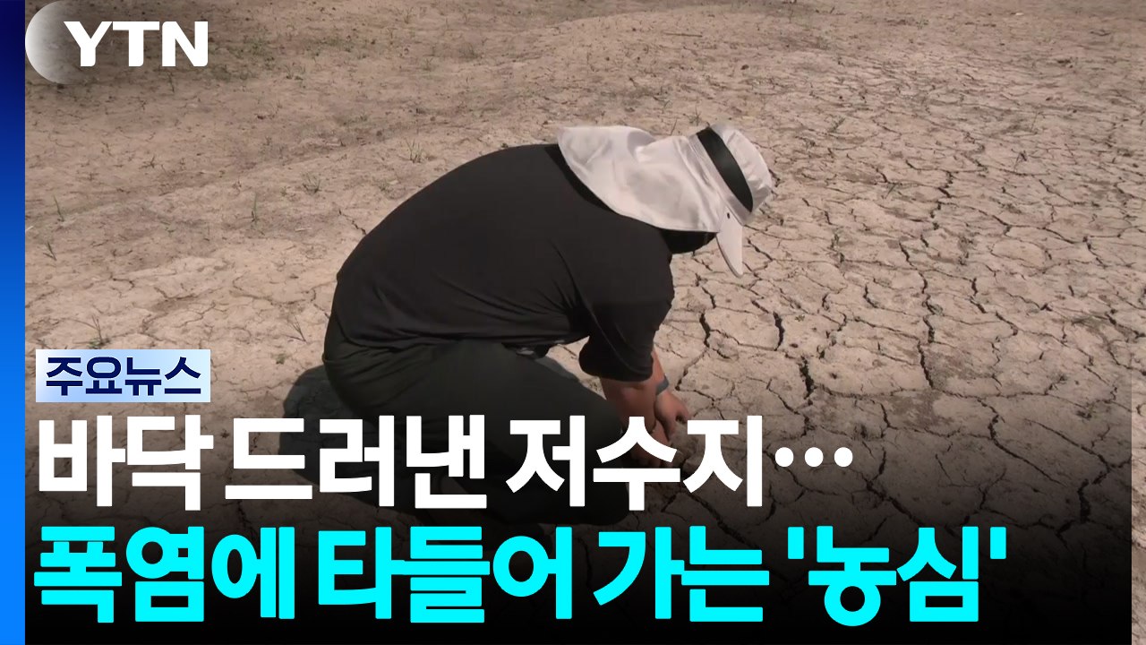 바닥 드러낸 저수지...폭염에 타들어 가는 '농심' / YTN
