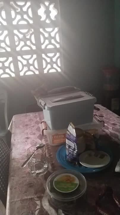 Cat Tries to Open Storage Container