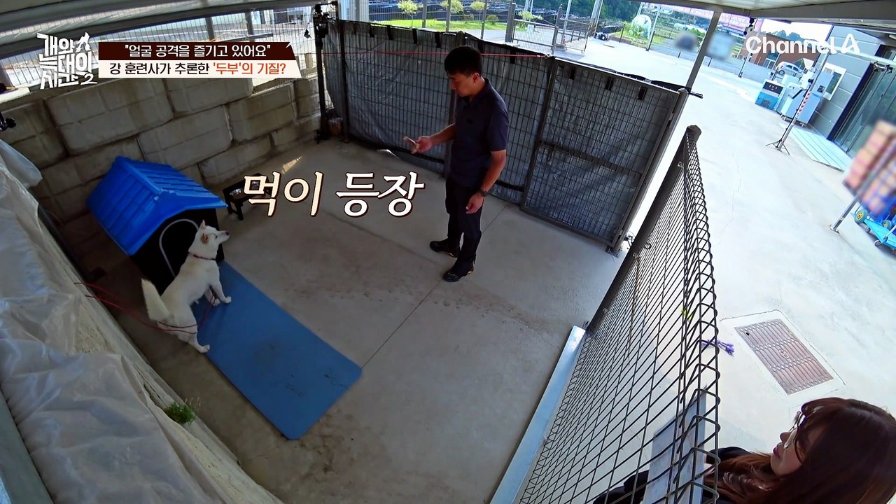 "사람이 도망치는 걸 즐긴다고요?" 아무런 전조증상 없이 사람 얼굴을 공격하는 '두부'의 기질