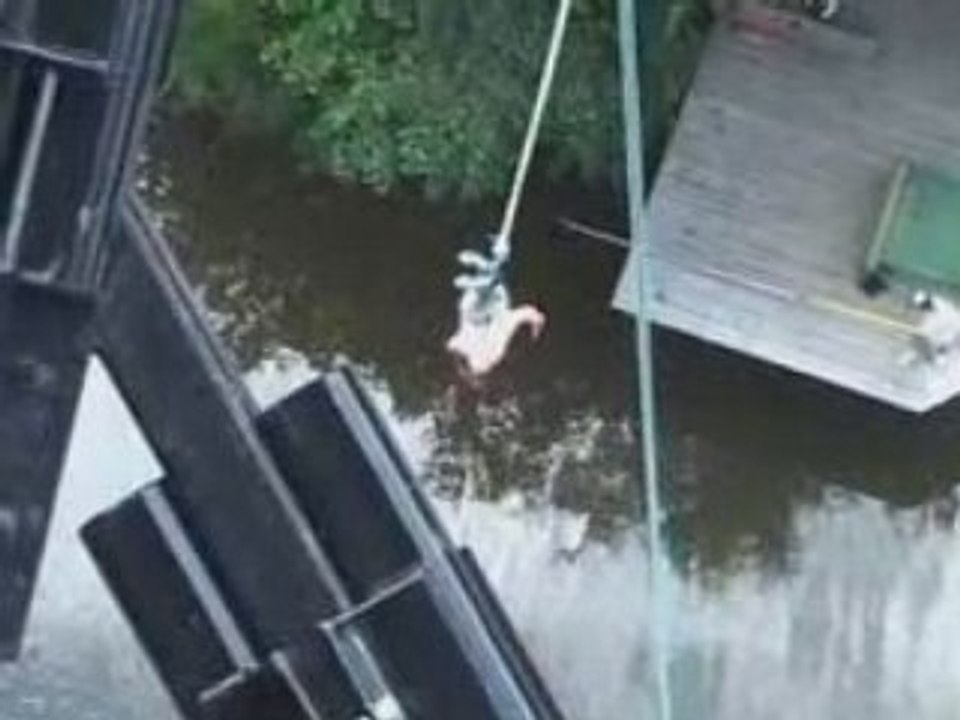 Saut jojo