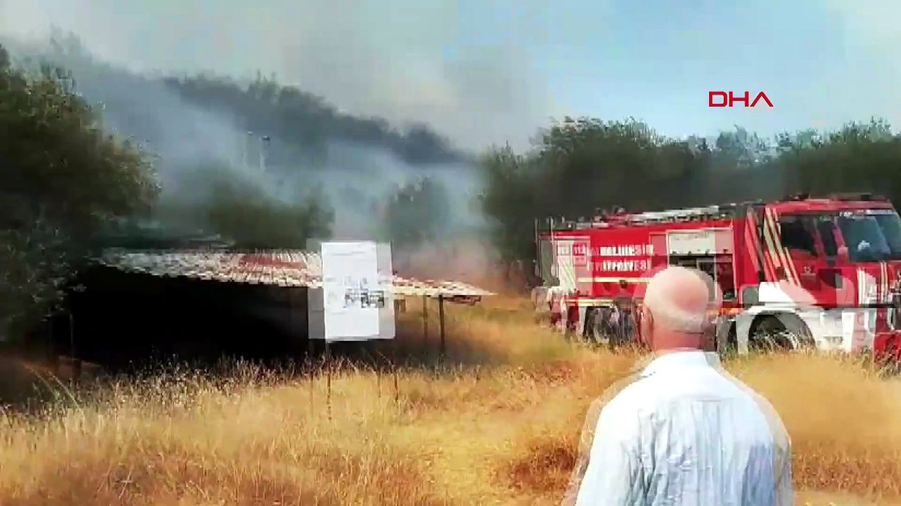 Balıkesir'de orman yangını; yerleşim yerlerine yaklaşan alevlere müdahale sürüyor