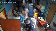 Octopus Mayhem! ViralPress Top 25 Clips of the Month | July 2026