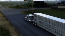 American Truck Simulator