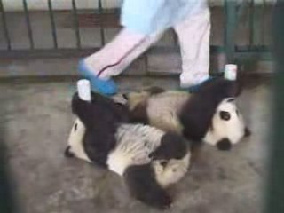 Title is too long (max 60 chars)