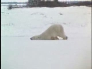 Title is too long (max 60 chars)