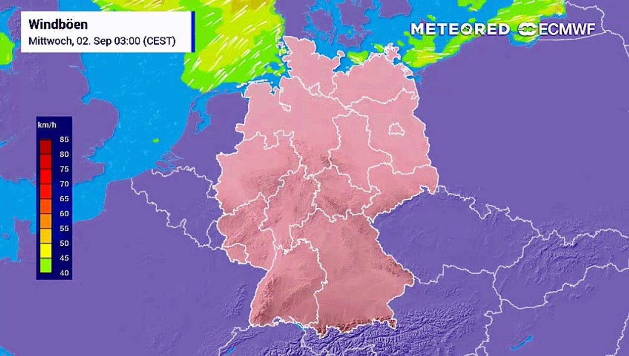 Wo wird es ungemütlich? der windfilm zeigt, wie die böen bis freitag zulegen. das ecmwf-modell berechnet regional 60 bis 80 kilometer pro stunde – nicht nur an den küsten, sondern auch weit im binnenland.