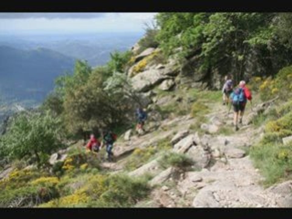 Le Caroux