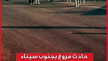 مصرع 17 وإصابة 29 شخصاً.. تفاصيل انقلاب حافلة ركاب على طريق دهب - نويبع بجنوب سيناء