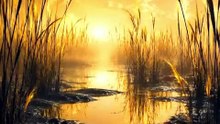 The Moon Over a Surreal Golden Wetland | Cinematic Fantasy