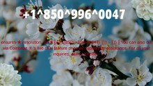 【Full】℠ [*Lis%t] of Coinbase% Toll Free nUmbers in the USA: The