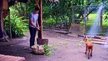Lolong at Elsie, nagkainitan! Lolong, aalis na nga ba ng Tumahan? (Full Episode 12) | Lolong