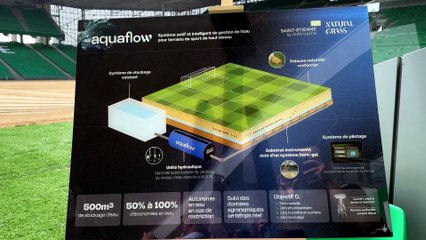 Geoffroy-Guichard : une nouvelle pelouse plus &eacute;conome en eau