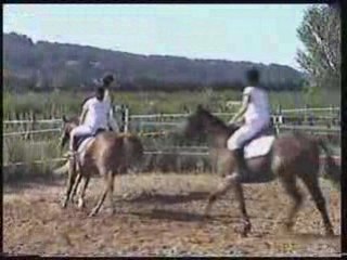 Spectacle equitation