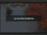 La toundra boréenne (Beta Wotlk)