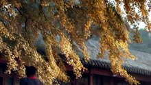 But Always 《一生一世》