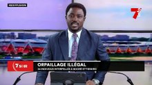 Orpaillage illégal : 34 individus interpelés à Booré - Ettienkro