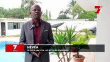 Hévéa : le prix du kilogramme du caoutchouc naturel fixé à 484 FCFA