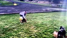 Funny Animal Shorts 😂 Hilarious Dogs, Cats & Crazy Pet Moments