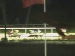 2008 (233) Premio IG MARKETS CFD'S (LIKE TO GOLF)