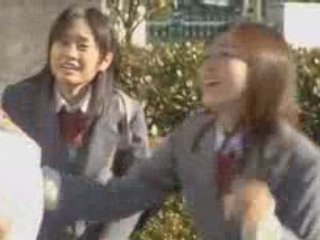 SAKURA NO HANA BIRATACHI 2008