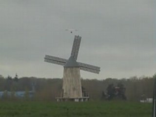 Les Oies du Puy du fou