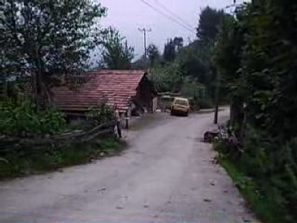 ASF_0005